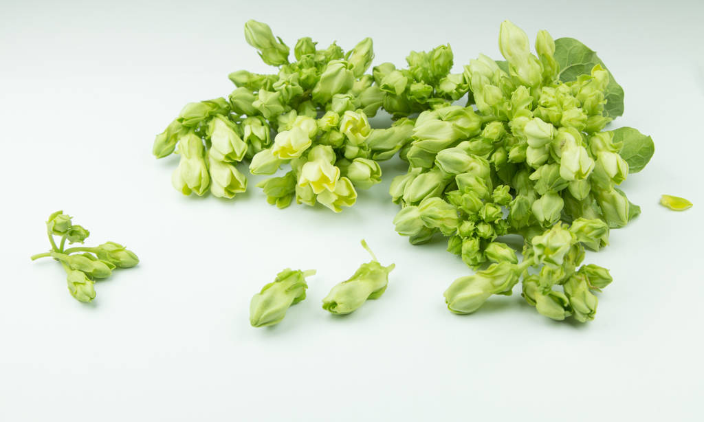 Seasonal Thai Foods: July