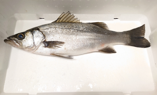 Seasonal Japanese Foods: July