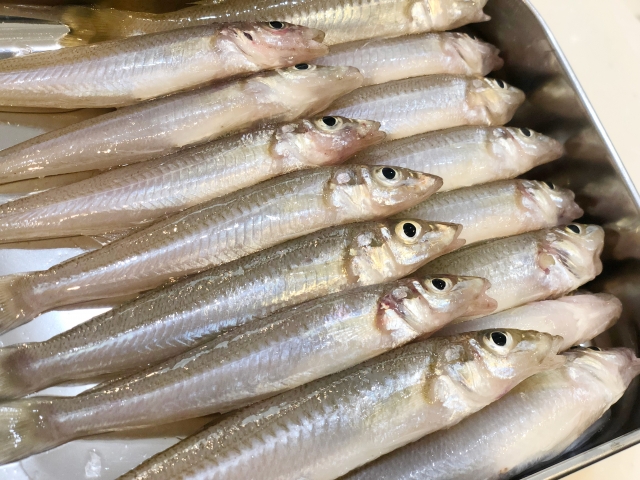 Seasonal Japanese Foods: July