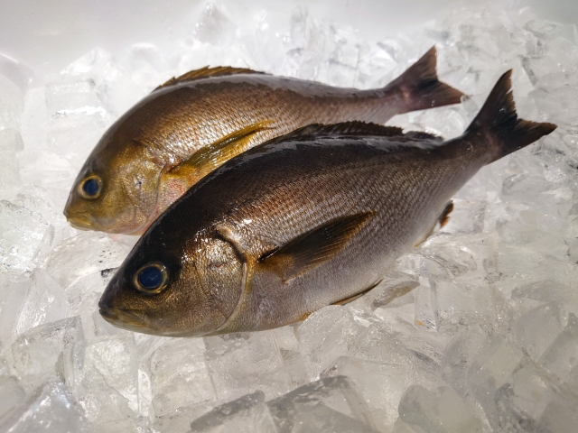 Seasonal Delicacies – August