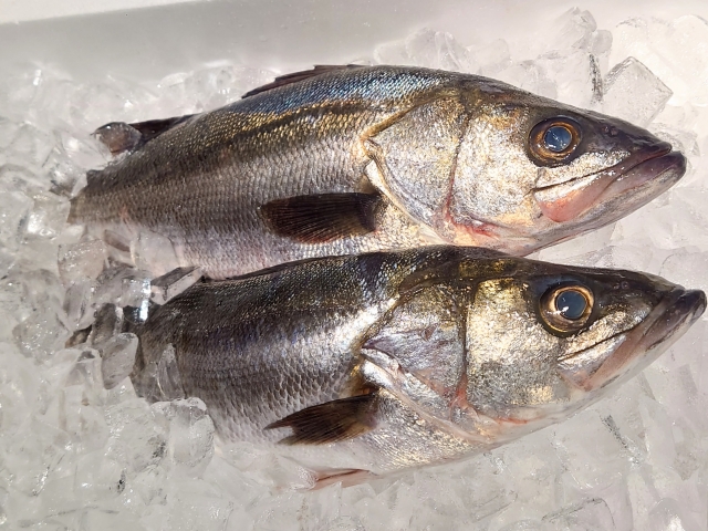 Seasonal Delicacies – August