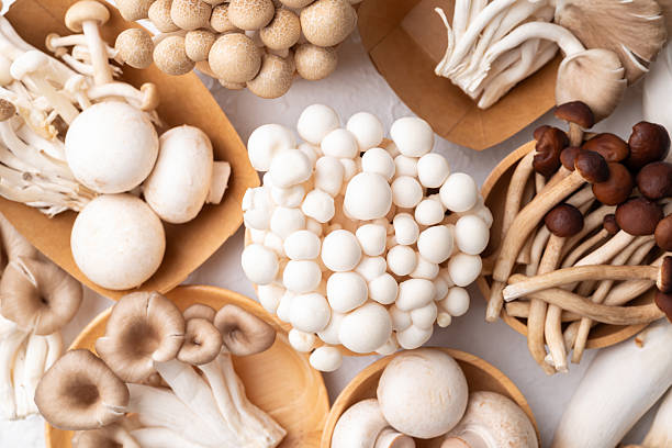 Japanese Seasonal Flavors