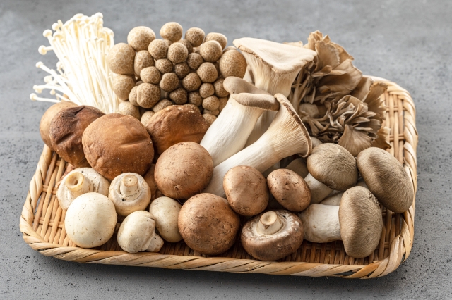 Finding Peace in the Vegetarian Festival — A Month of Change