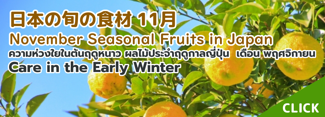 Care in the Early Winter November Seasonal Fruits in Japan