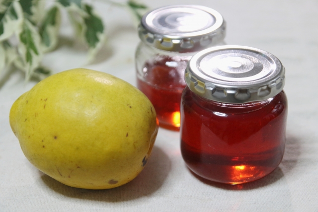 Care in the Early Winter November Seasonal Fruits in Japan