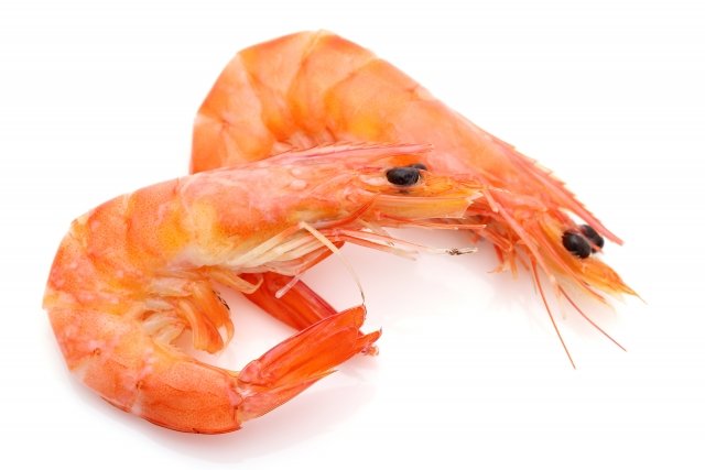 Thoughtfully Boxed: Sending Auspicious Wishes with Osechi Ryōri