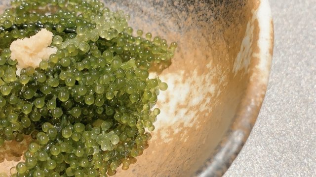 Seaweed in Japanese Cuisine