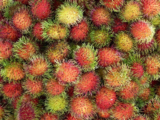 Seasonal Thai Foods in May