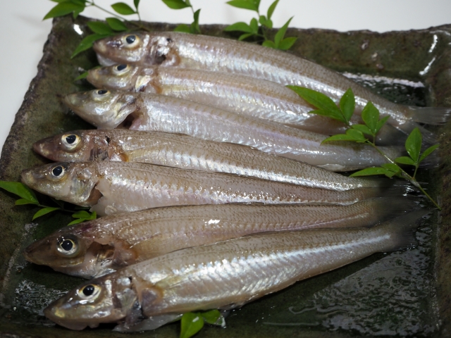 Seasonal Japanese Ingredients in May