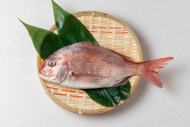 Seasonal Japanese Ingredients in May